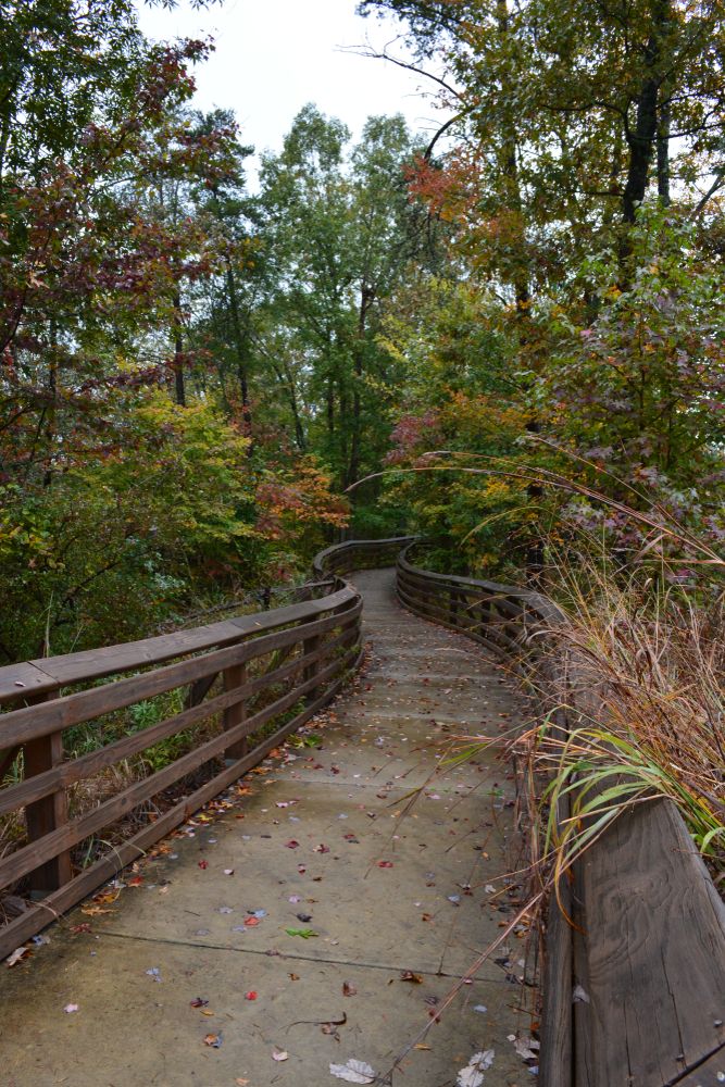 Hiking trail at Little River Canyon National Preserve