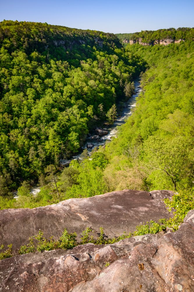 View from an overlook at Little River Canyon National Preserve
