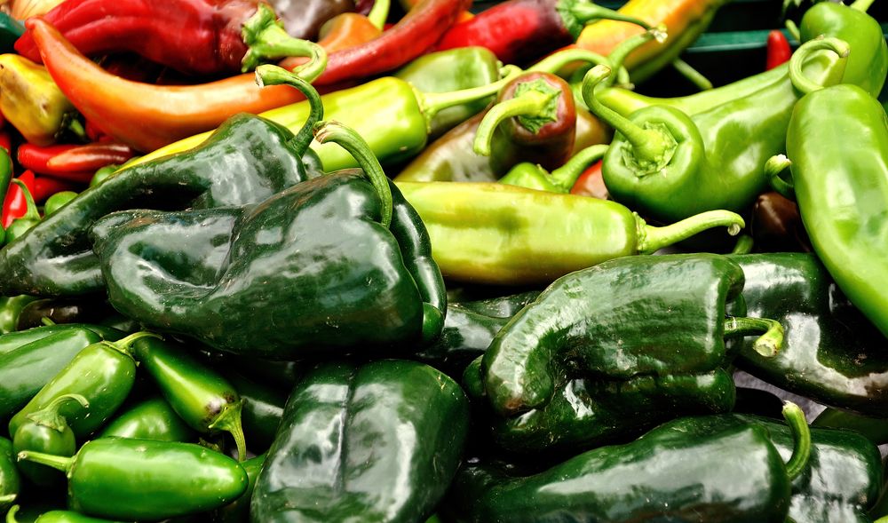 Fresh green peppers at Crested Butte Farmers Market