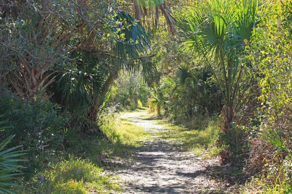 Nature trail at Charlotte Harbor Preserve State Park