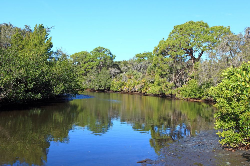 The waters of Charlotte Harbor Preserve State Park