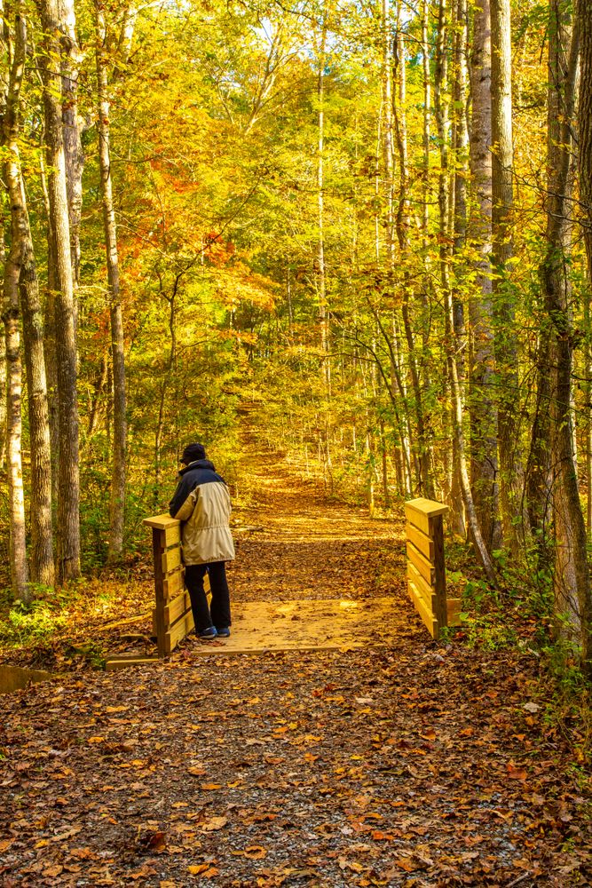 Hiking trail at Crowders Mountain State Park