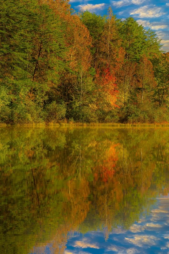 A lake at Crowders Mountain State Park