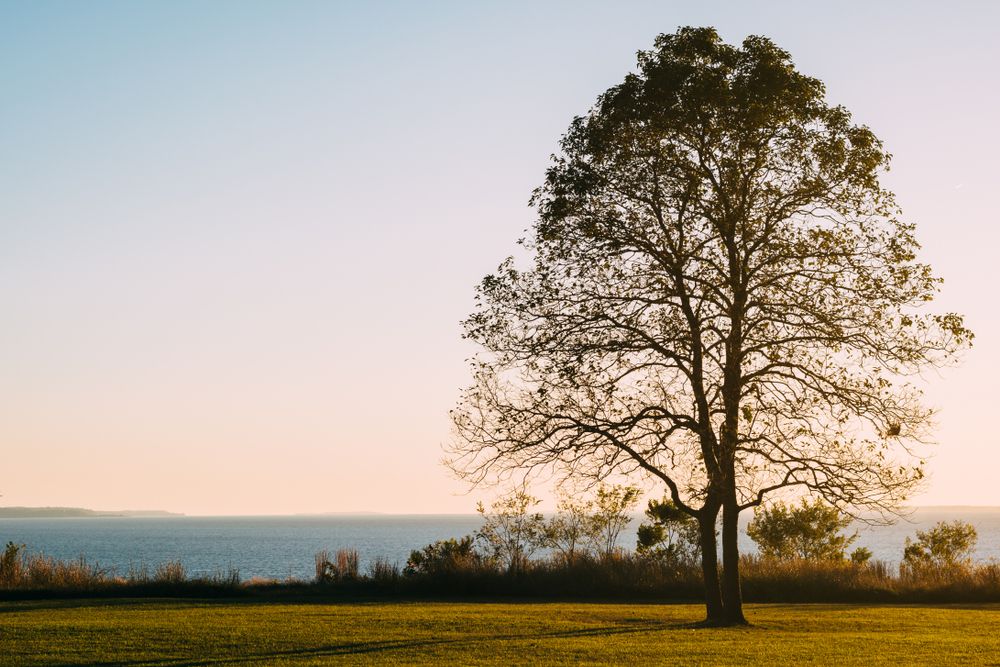 The grounds of Elk Neck State Park