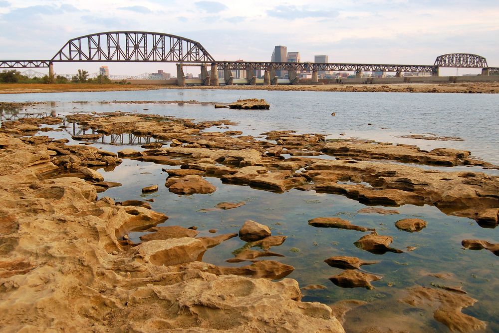River bed at Falls of the Ohio State Park