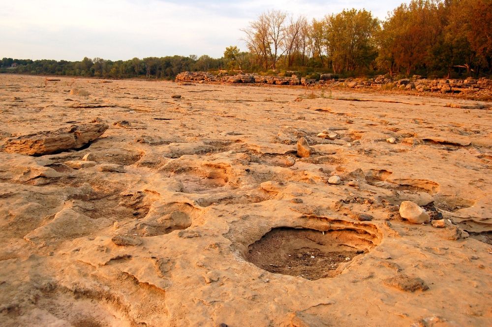 Fossil bed at Falls of the Ohio State Park