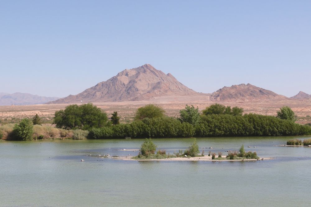 Waters of Henderson Bird Viewing Preserve