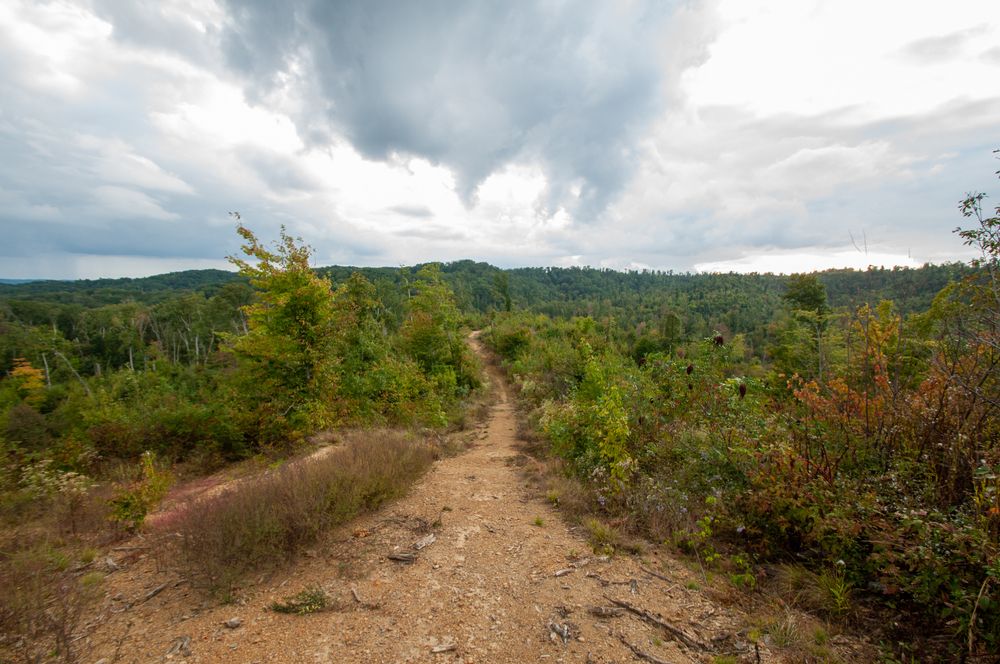 Daytime view of Knobstone Trail