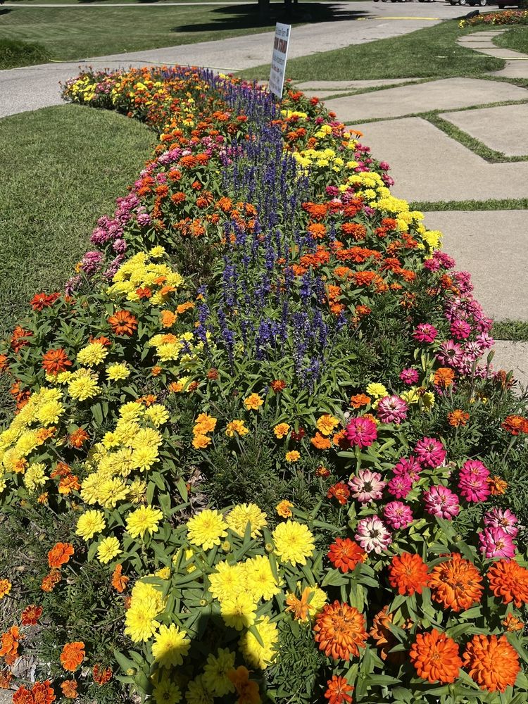 Flower bed at Leila Arboretum