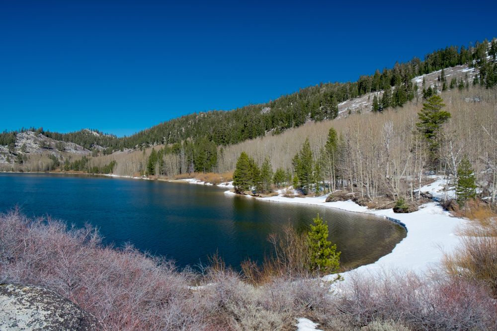 Snow-covered shore of Marlette Lake