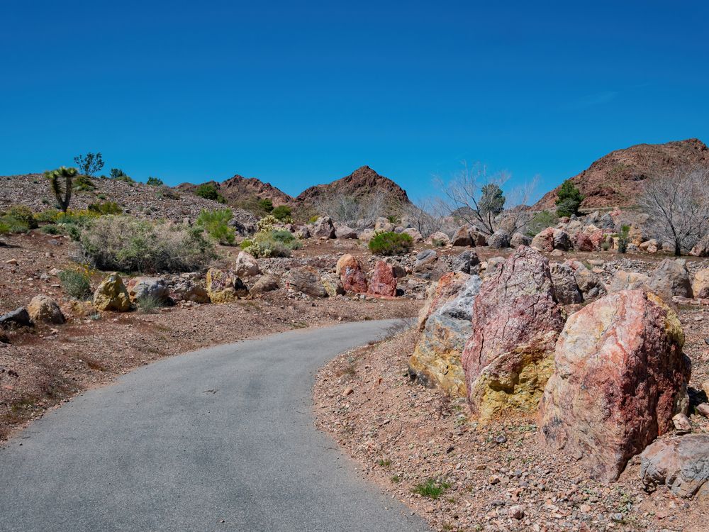 Trail at Nature Discovery Trail and Rock Garden
