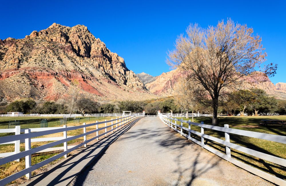 Trail at Spring Mountain Ranch State Park
