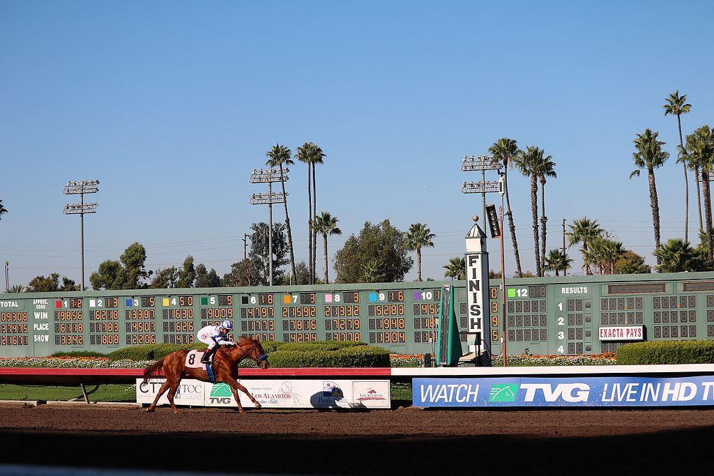 A horse at Los Alamitos Race Course