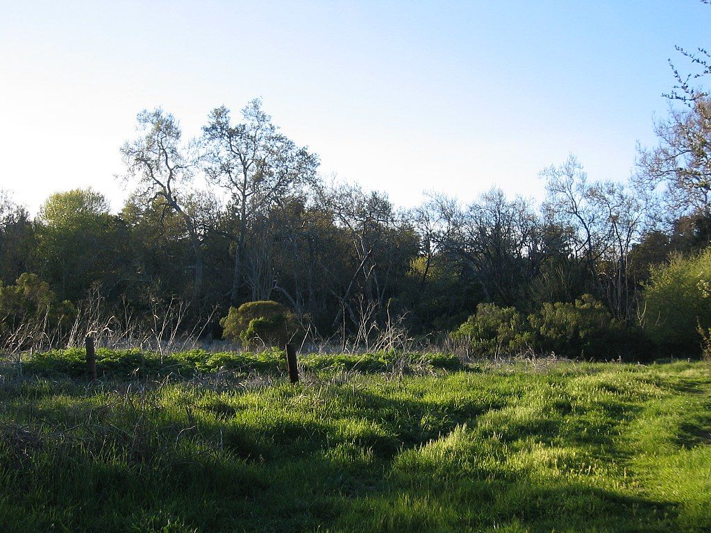 Nature grounds at Mcclellan Ranch Preserve