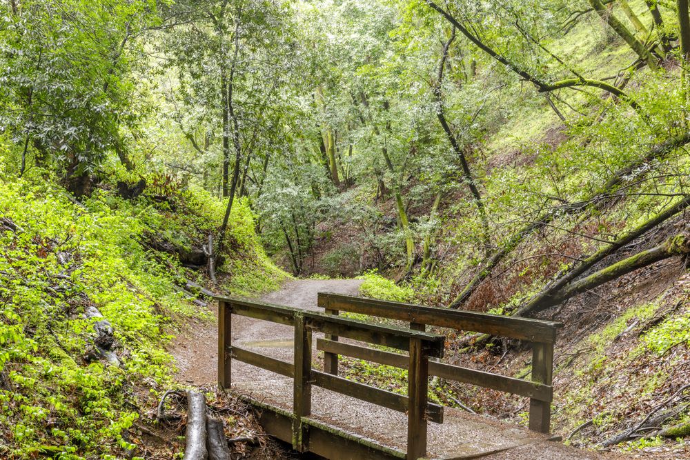 A boardwalk bridge at Rancho San Antonio County Park & Preserve