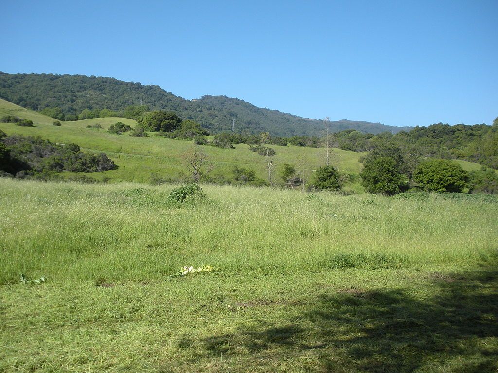 Meadow at Rancho San Antonio County Park & Preserve