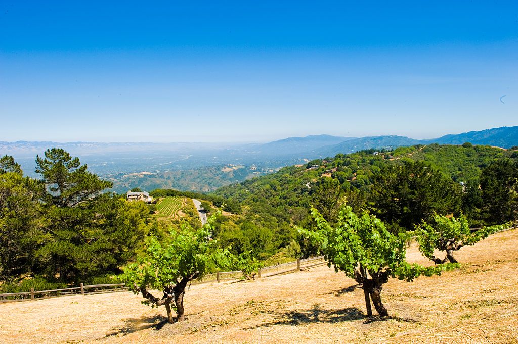 Scenic view from Ridge Vineyards