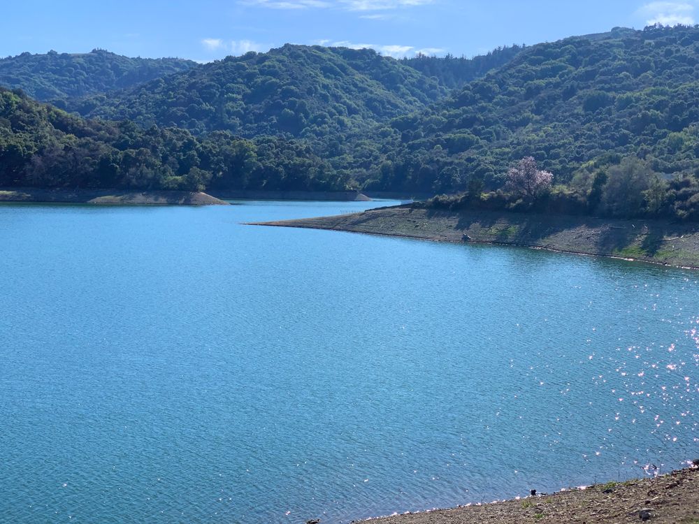 Aerial view of Stevens Creek County Park's water