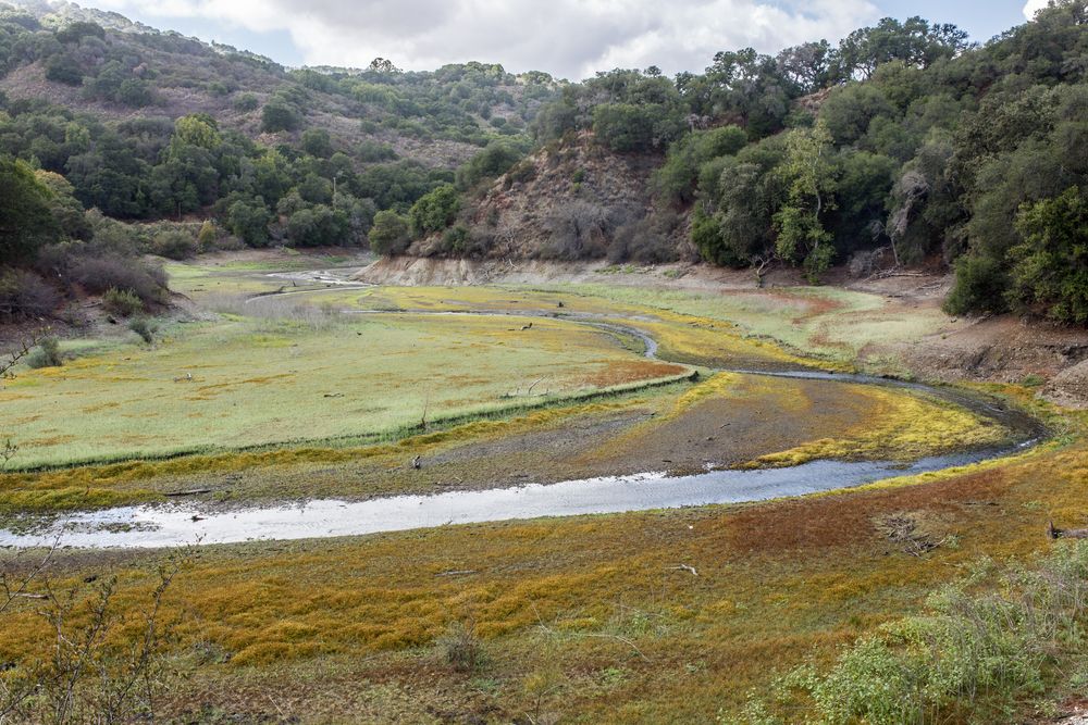 Scenic view of Stevens Creek County Park
