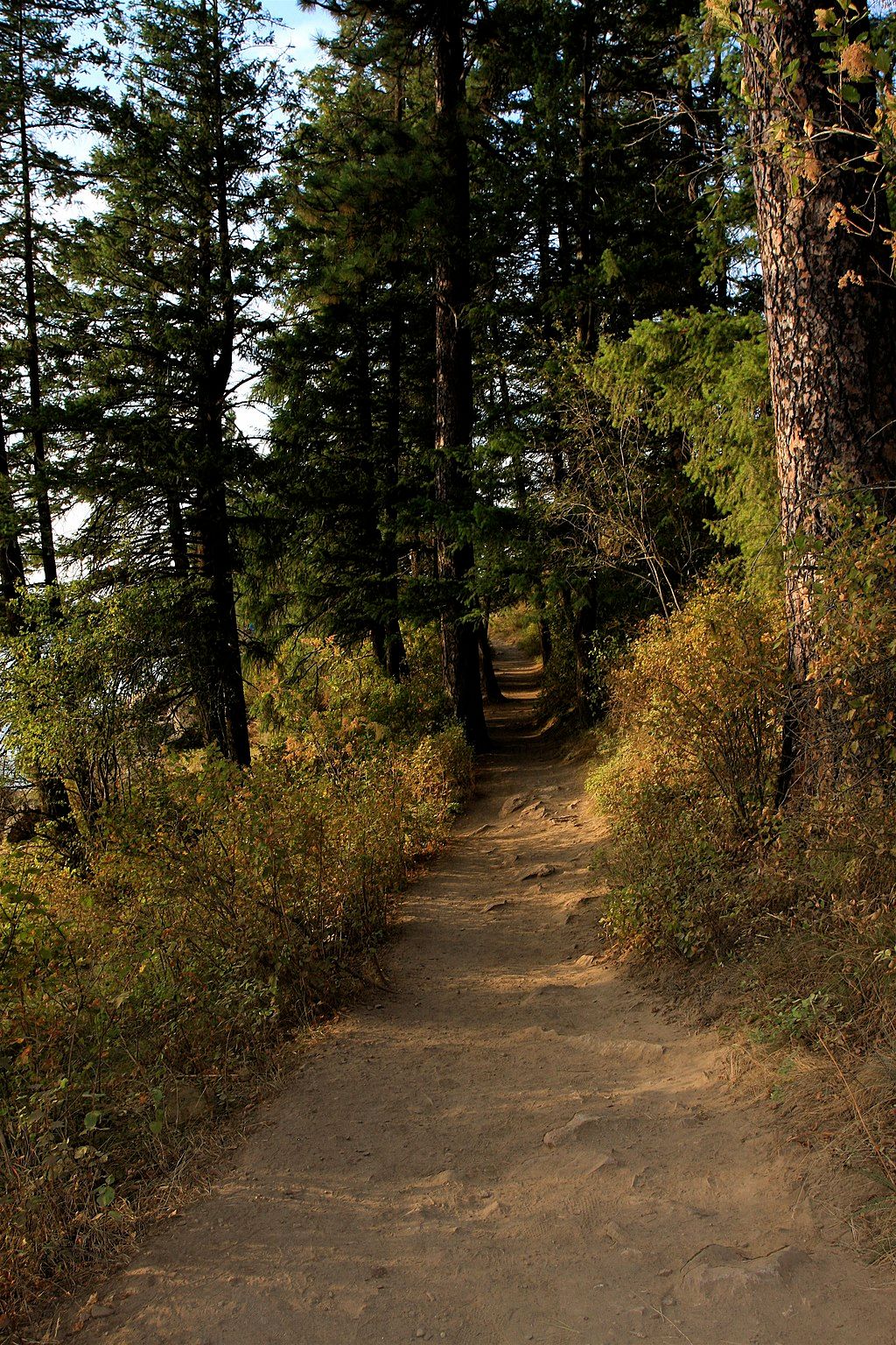 Hiking trail at Tubbs Hill