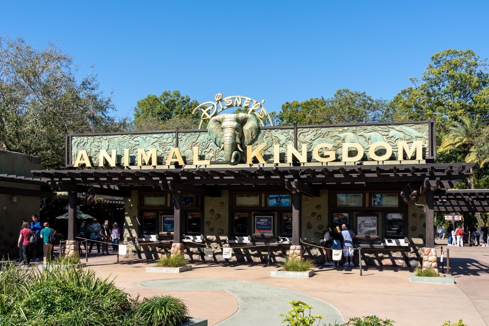 The animal kingdom of Disney World Resort