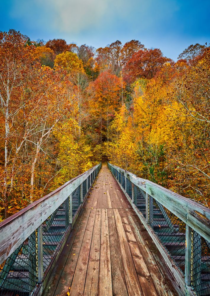 Suspension bridge trail at Cumberland Falls State Park