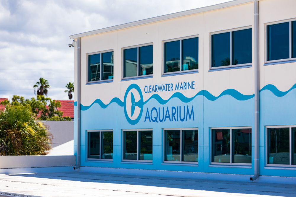 Exterior of Clearwater Marine Aquarium