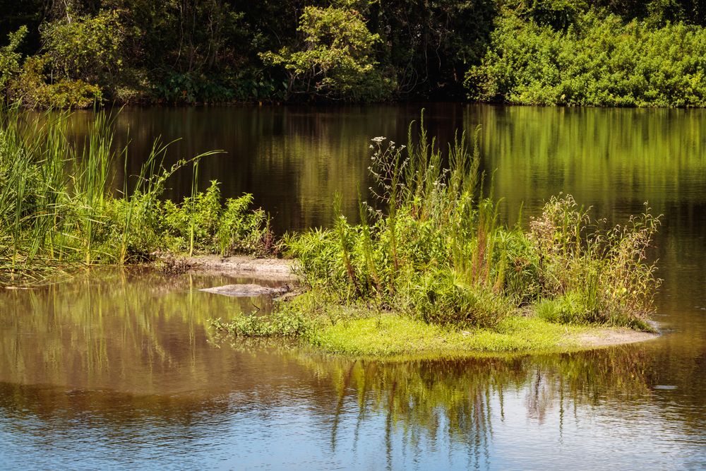 The waters of Moccasin Lake Nature Park