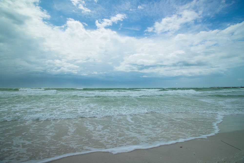 The waters of Sand Key Park