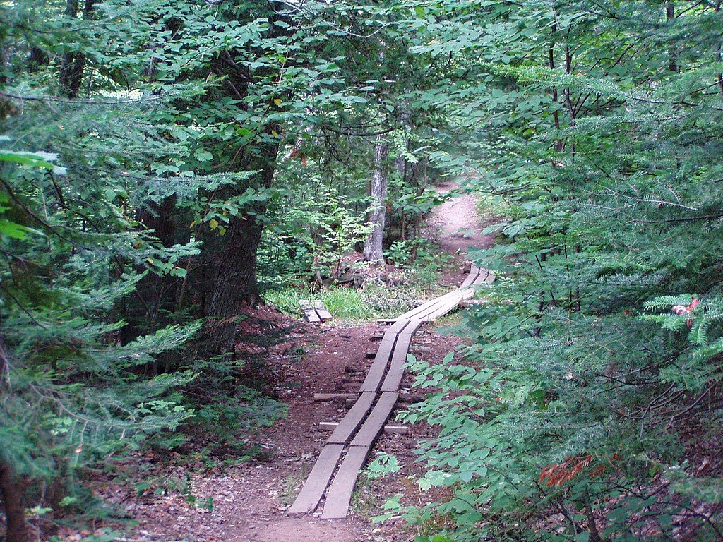 Boardwalk trail at Estivant Pines Nature Sanctuary