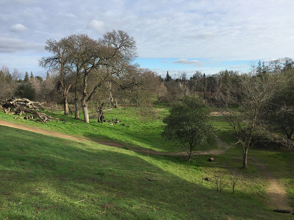 The grounds of Maidu Regional Park