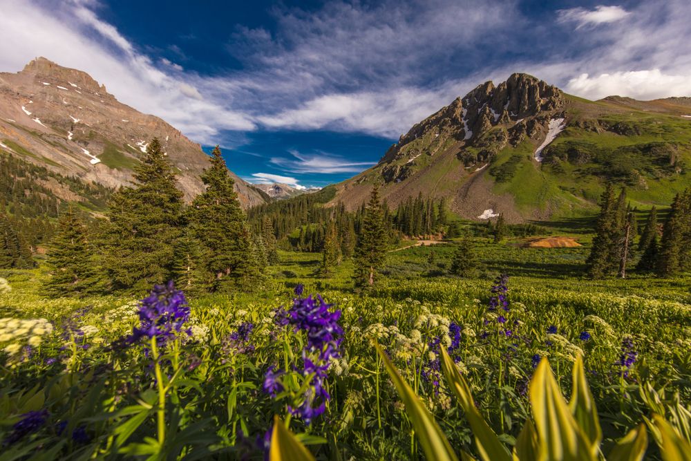 View of Yankee Boy Basin