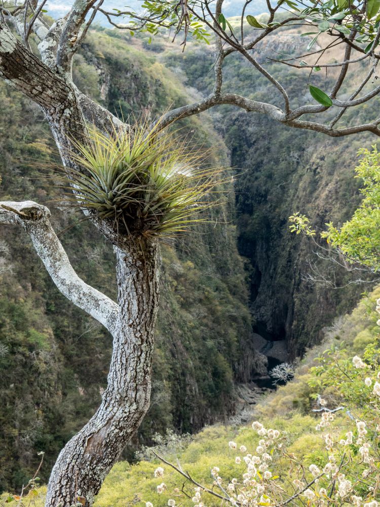 View of Somoto Canyon National Monument
