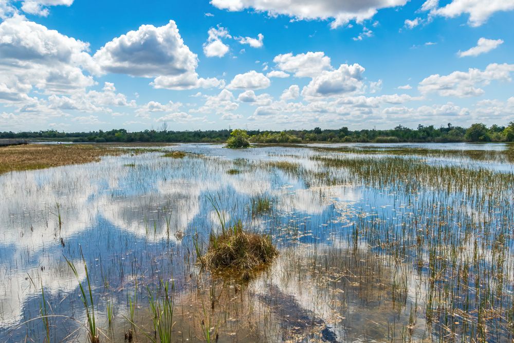 View of Chapel Trail Nature Preserve