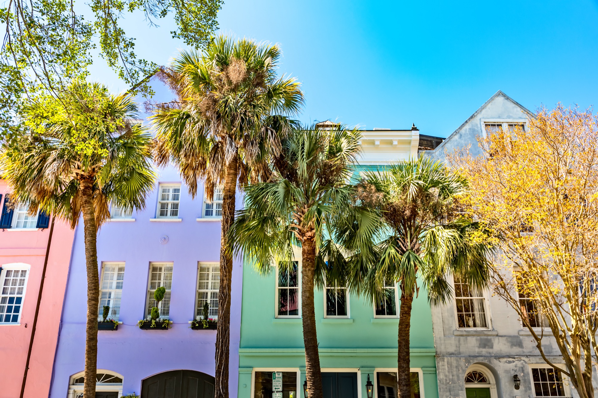 30 Beautiful Photos of Charleston, SC