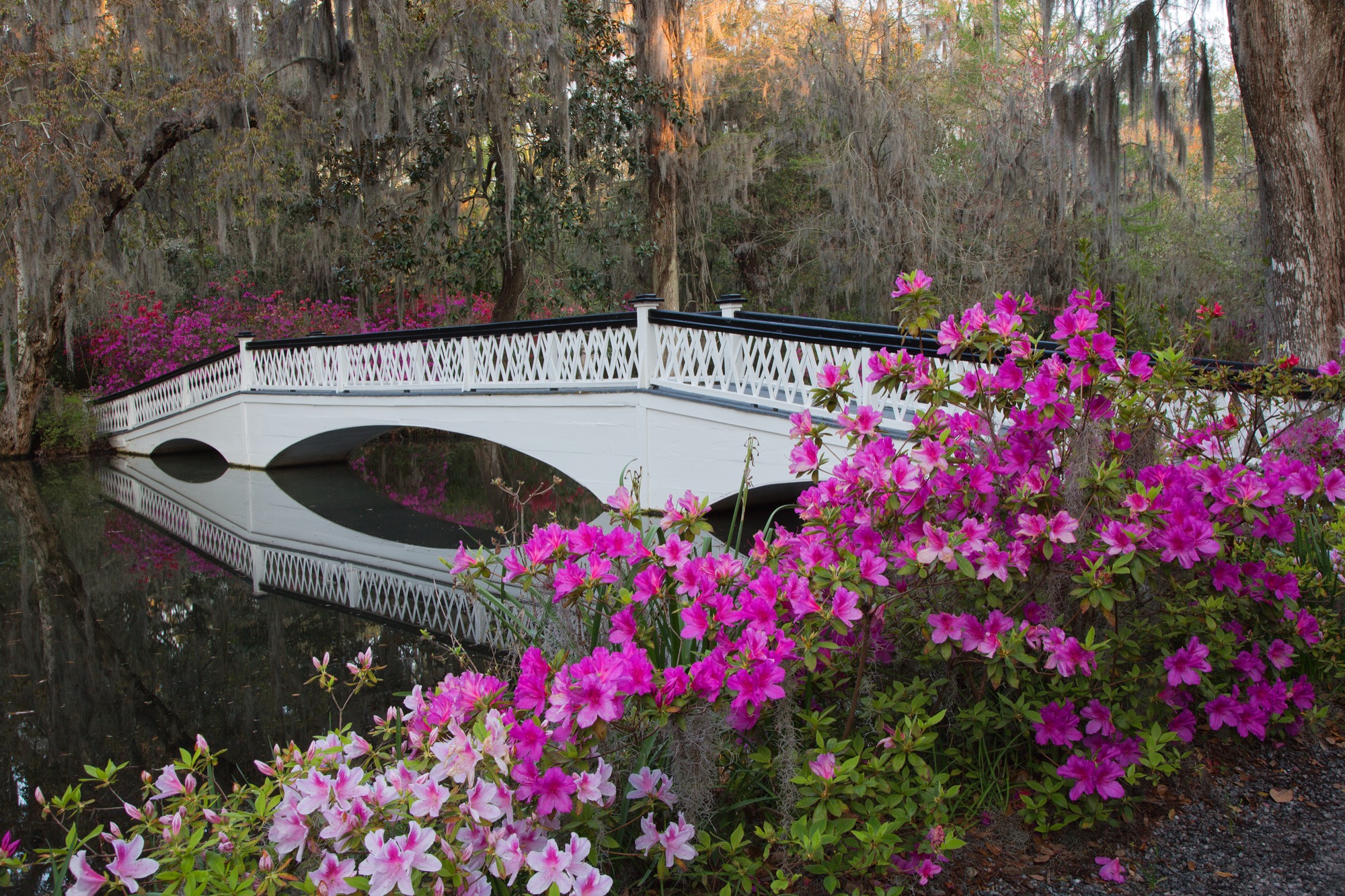 30 Beautiful Photos of Charleston, SC
