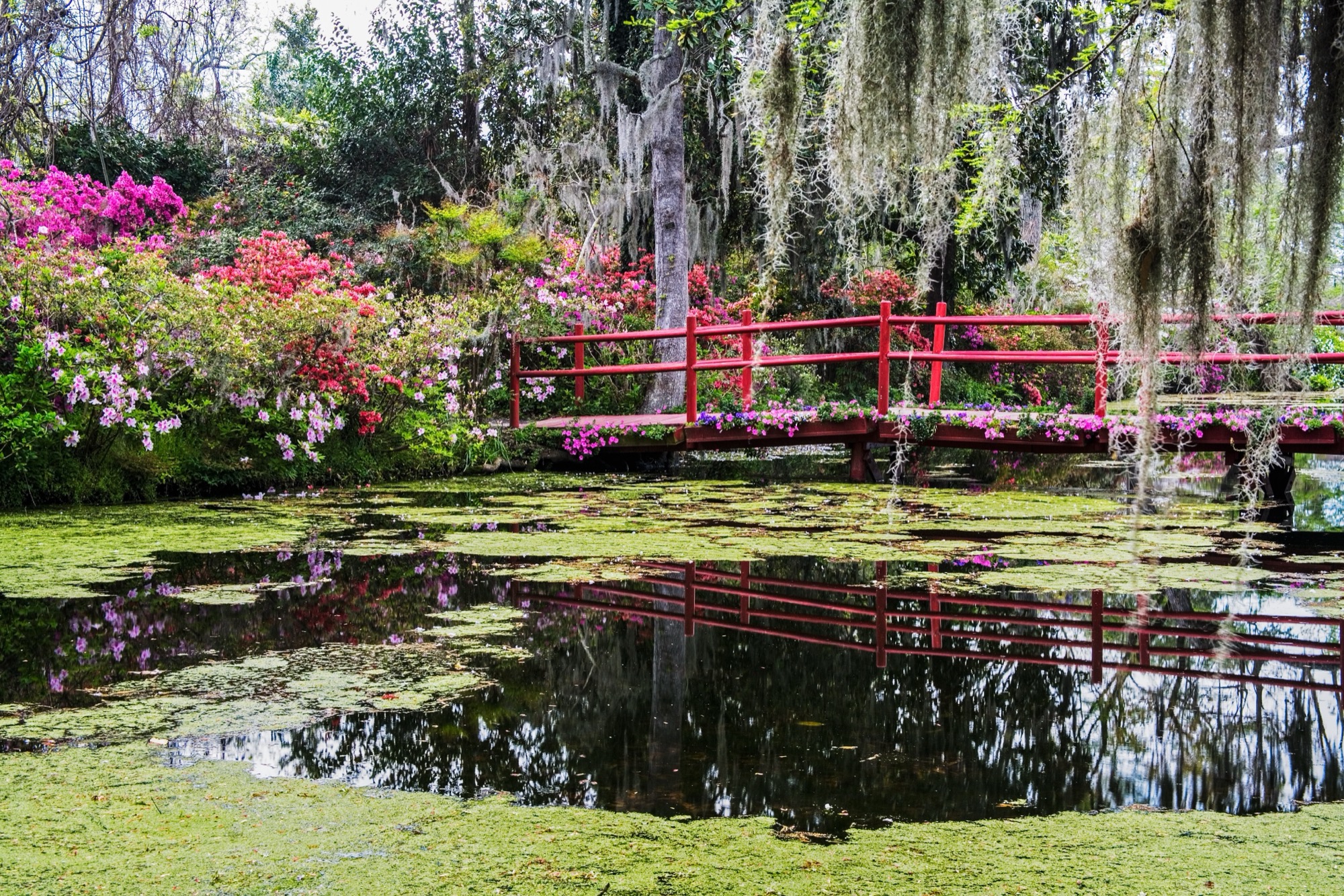 30 Beautiful Photos of Charleston, SC