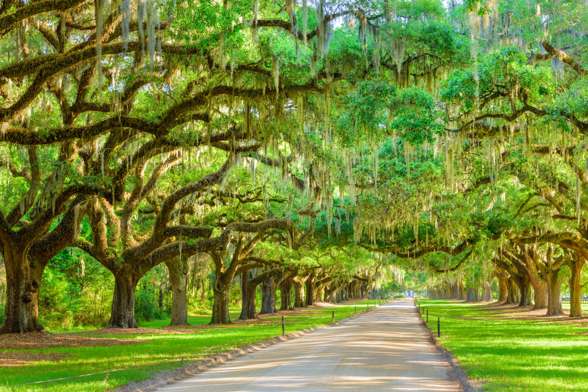 30 Beautiful Photos of Charleston, SC