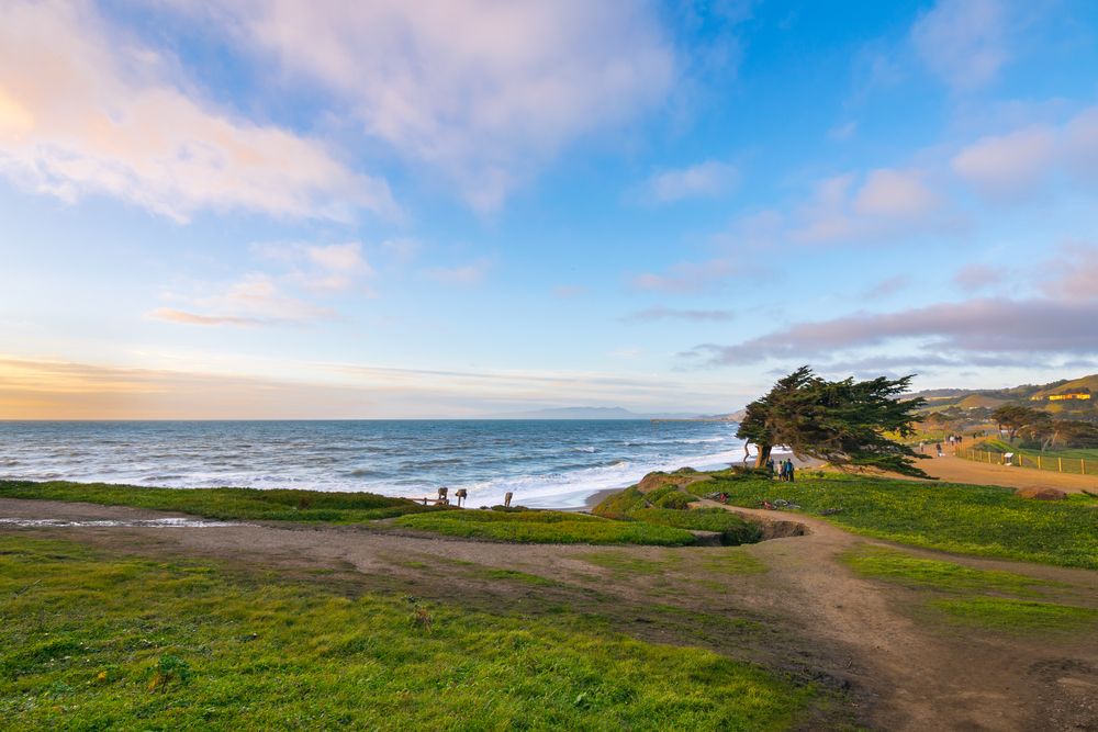 View of Mori Point