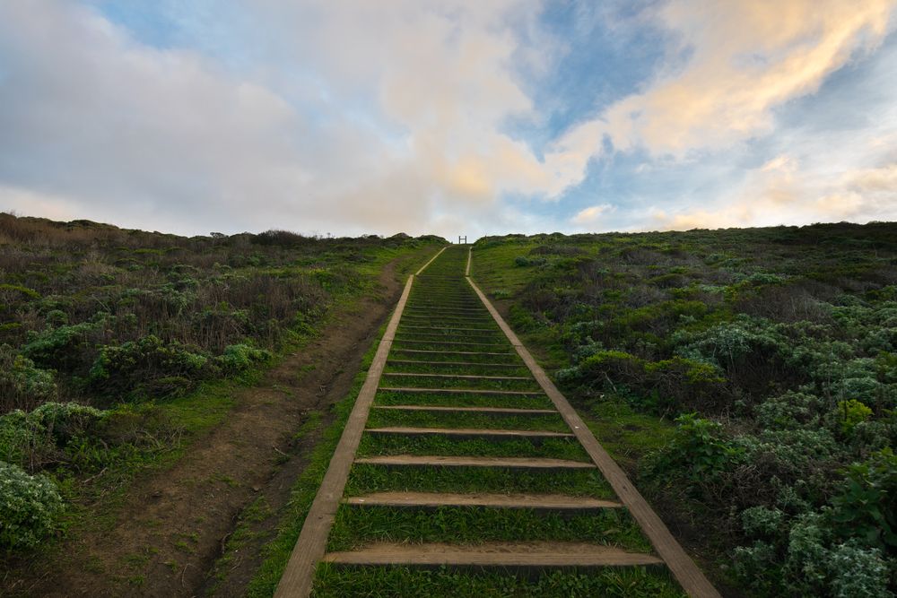 View of Mori Point