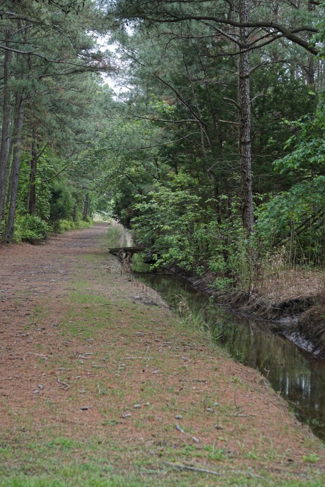 A trail in Janes Island State Park