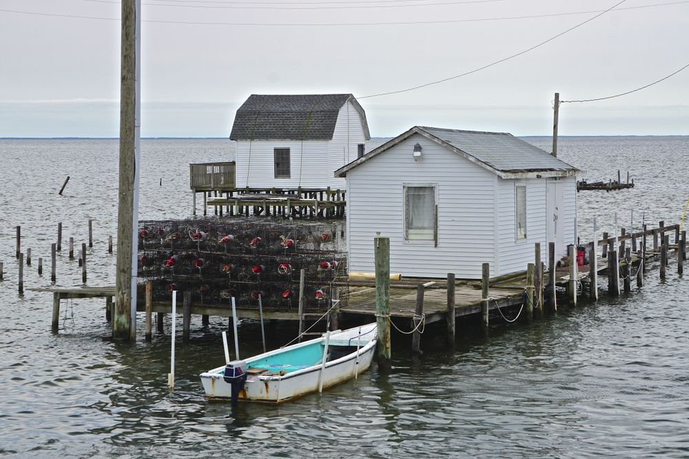 Shacks crab traps on Tangier Island