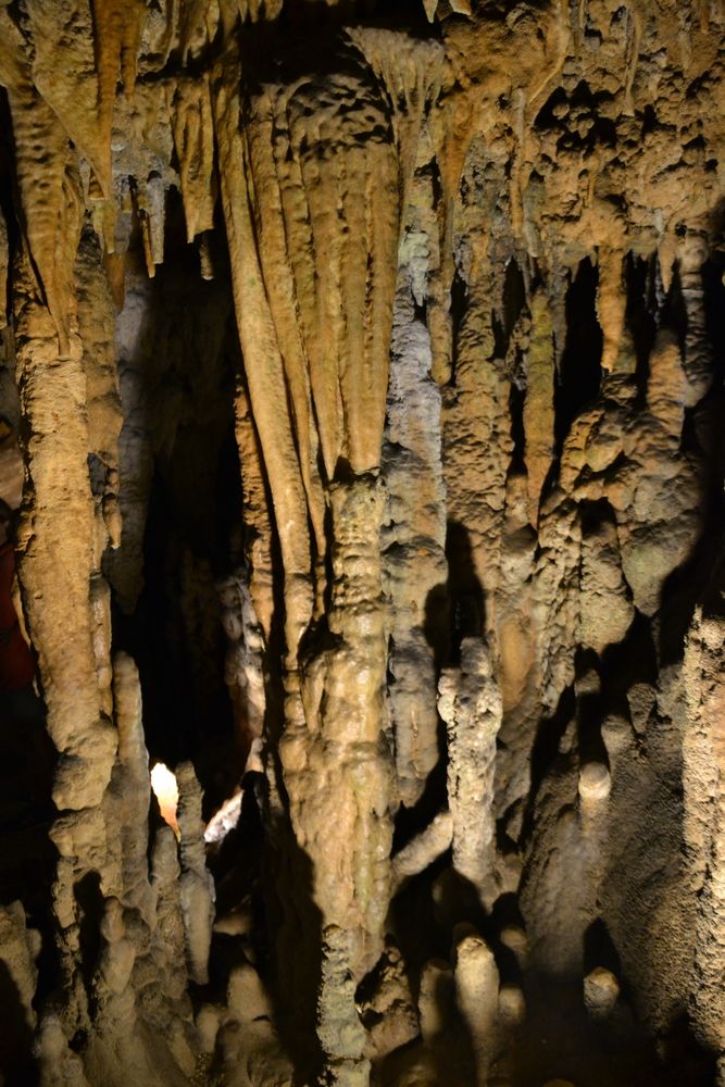 Closer details of the rock formations in Florida Caverns State Park