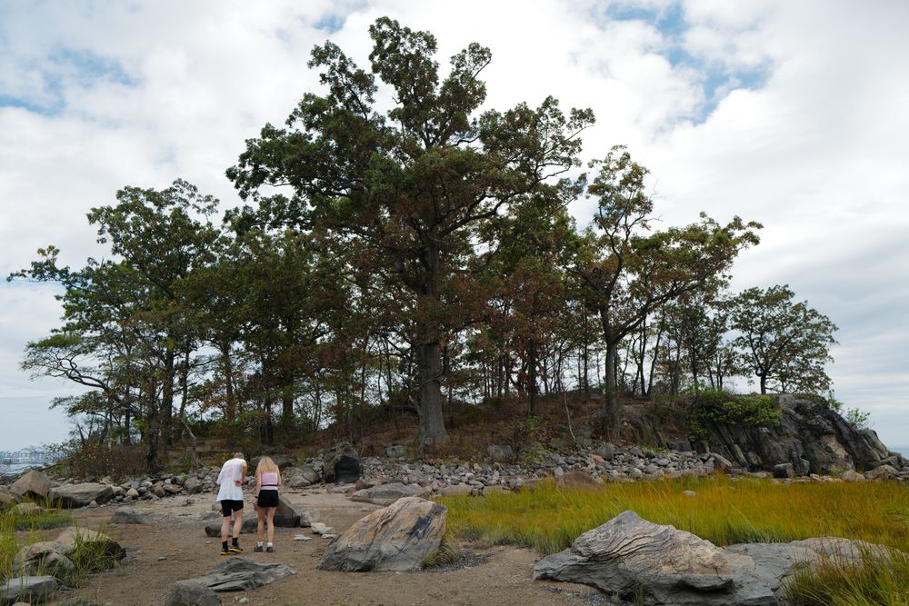 People walking along Pelham Bay Park