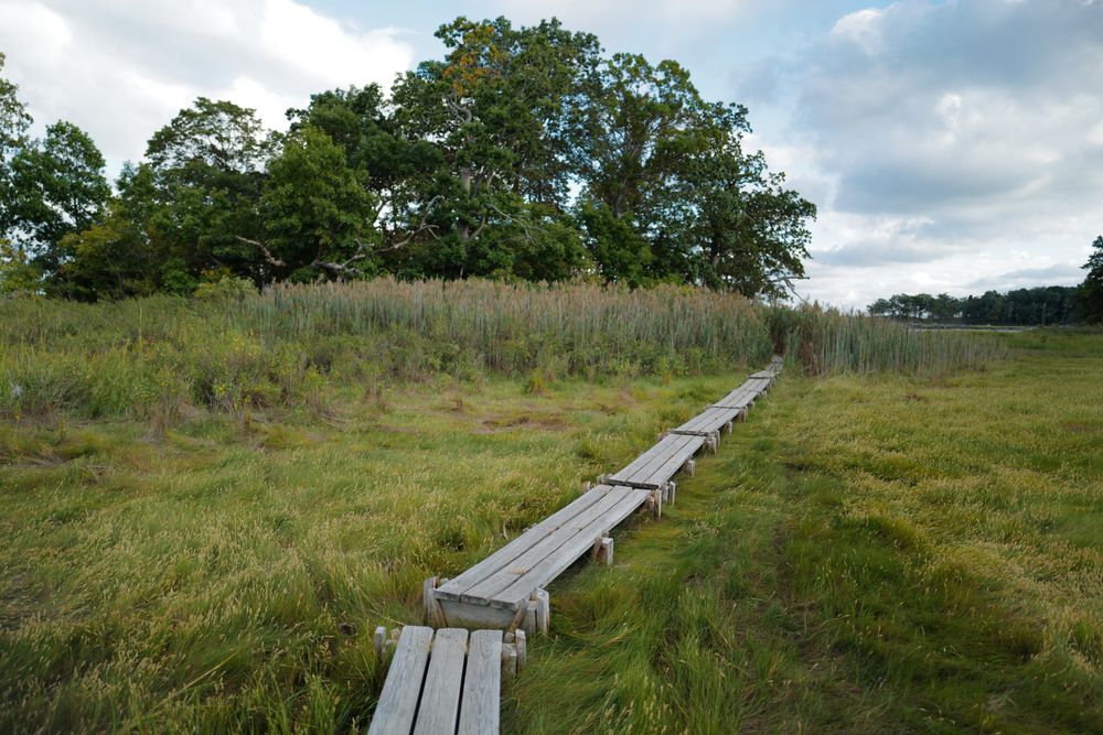 Boardwalk at Pelham Bay Park