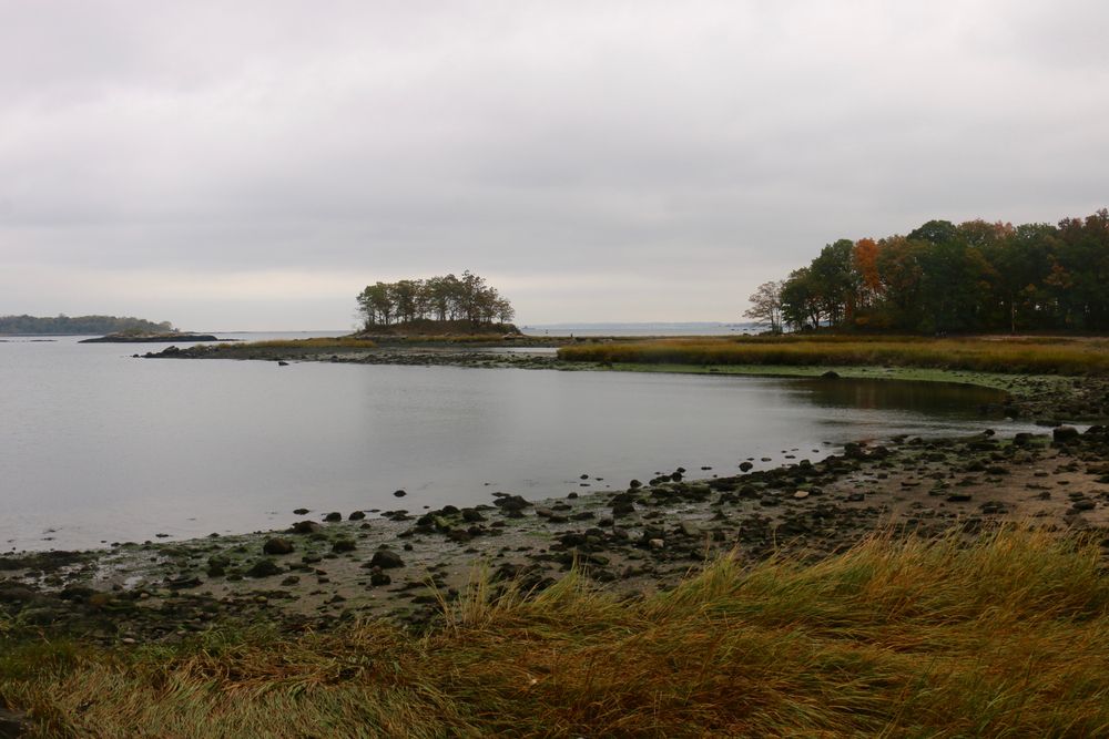 The waters of Pelham Bay Park