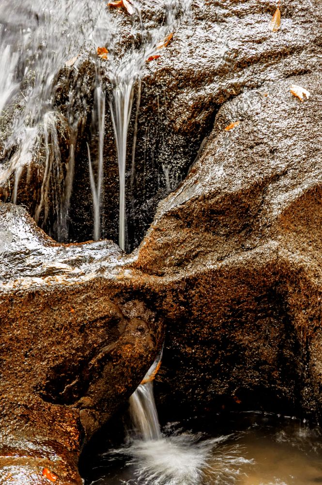 Water flowing out of a rock at Moccasin Creek State Park