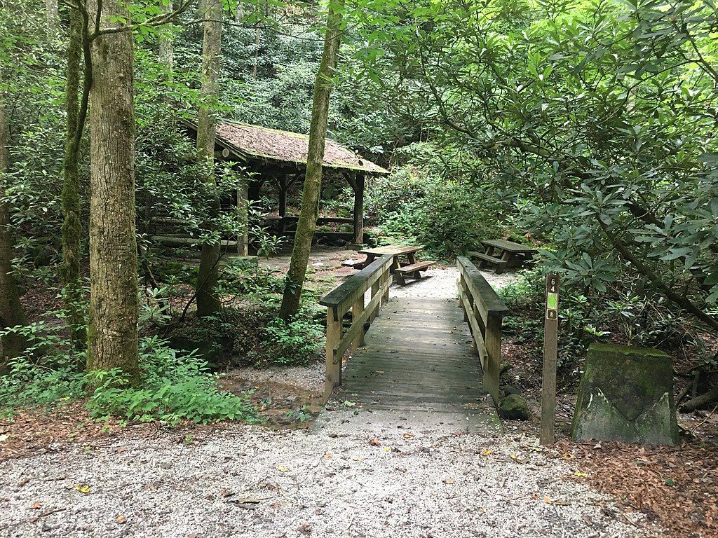 Trail and trees at the Warwoman Dell