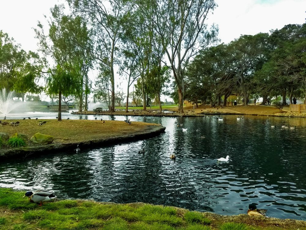The waters of TeWinkle Park