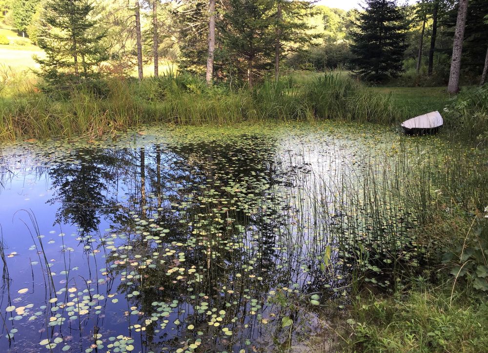 The waters of Merryspring Nature Center
